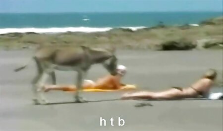 ブルネットは、濡れ穴に陰茎を取ります 女性 専用 エロ 動画